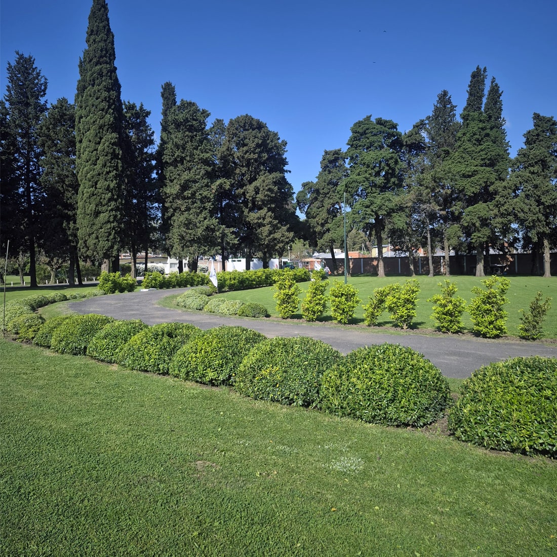 Mantenimiento de campos